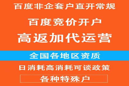 成功案例揭秘：百度竞价账户托管的运营之道